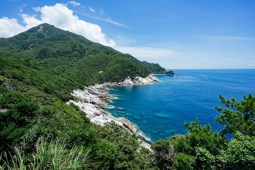 Yakushima Island, Japan: A Maritime Odyssey into Timeless Wilderness